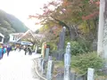 高尾山の写真_166564