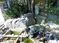 気比神社の写真_166723