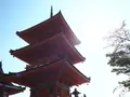 清水寺の写真_166756