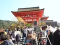 清水寺の写真_166757