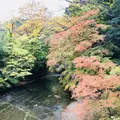 袋田の滝の写真_167240
