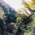 袋田の滝の写真_167241