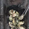 大福丸の写真_167308
