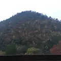 東急ハーヴェストクラブＶＩＡＬＡ ａｎｎｅｘ京都鷹峯の写真_167322