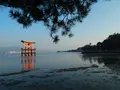 清盛神社の写真_167508