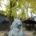 三囲神社の写真_167754