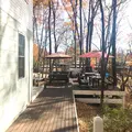 フィンランドの森 メッツァラウハの写真_167775