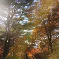 伊香保ロープウェイの写真_167795