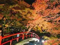 河鹿橋の写真_167830