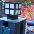 田の原川の写真_167841