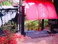 山あいの宿 山みず木の写真_167843