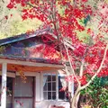 cafe Karinの写真_167978