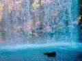 鍋ヶ滝の写真_167981