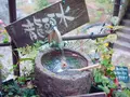 紅葉橋の写真_167991