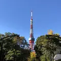 芝公園の写真_168048