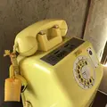 檸檬ホテルの写真_168183