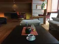 今宵 天空に遊ぶ しょうげつの写真_168331