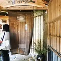 吾亦紅 (われもこう)の写真_168358