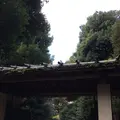 殿ヶ谷戸庭園の写真_168429