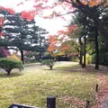 殿ヶ谷戸庭園の写真_168432