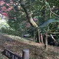 殿ヶ谷戸庭園の写真_168444