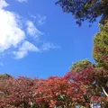 殿ヶ谷戸庭園の写真_168448