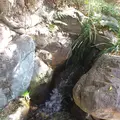 殿ヶ谷戸庭園の写真_168449