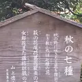殿ヶ谷戸庭園の写真_168456