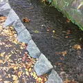 お鷹の道・真姿の池湧水群の写真_168493