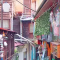 背戸屋の写真_168506