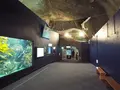 久慈地下水族科学館もぐらんぴあの写真_168537