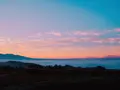 前原の一本桜の写真_168888