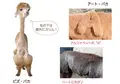 アルパカ牧場の写真_169007