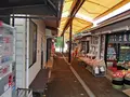 牛久大仏の写真_169025