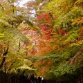 光明寺の写真_169052