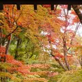 光明寺の写真_169053