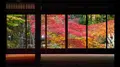 南禅寺の写真_169085