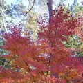 南禅寺の写真_169088