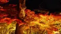 東福寺の写真_169096