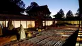 東福寺の写真_169099