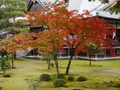 大覚寺の写真_169110