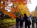 二尊院の写真_169115