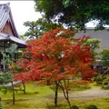 大覚寺の写真_169138