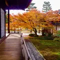 大覚寺の写真_169139
