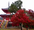 大覚寺の写真_169140