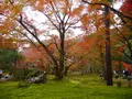 宝厳院の写真_169170