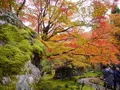 宝厳院の写真_169174