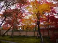 宝厳院の写真_169177