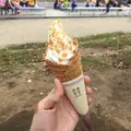 マザー牧場の写真_169272