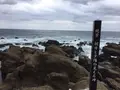 味覚と眺望の宿 ホテル南海荘（HMIホテルグループ）の写真_169278